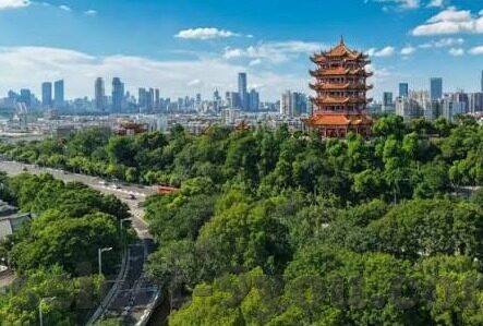 德州扑克网址-德州扑克网址，在线竞技的娱乐新选择